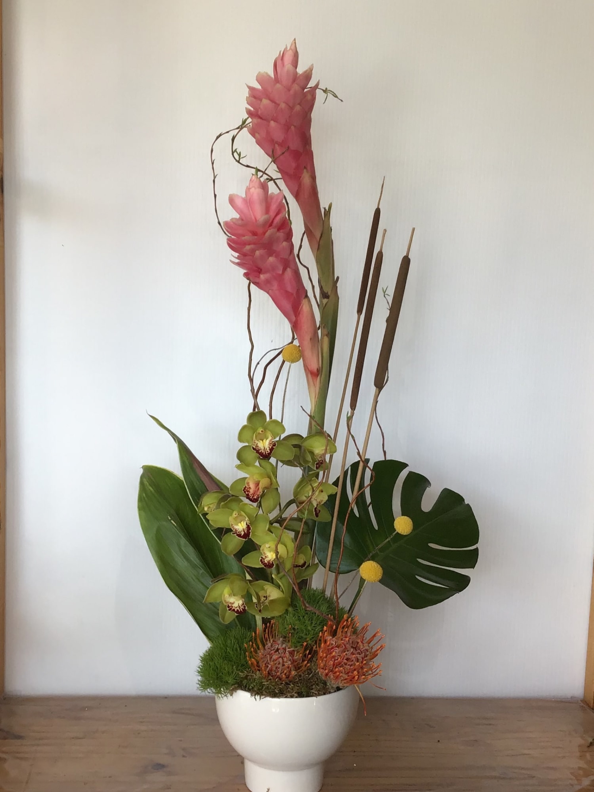 Fun and Tropical