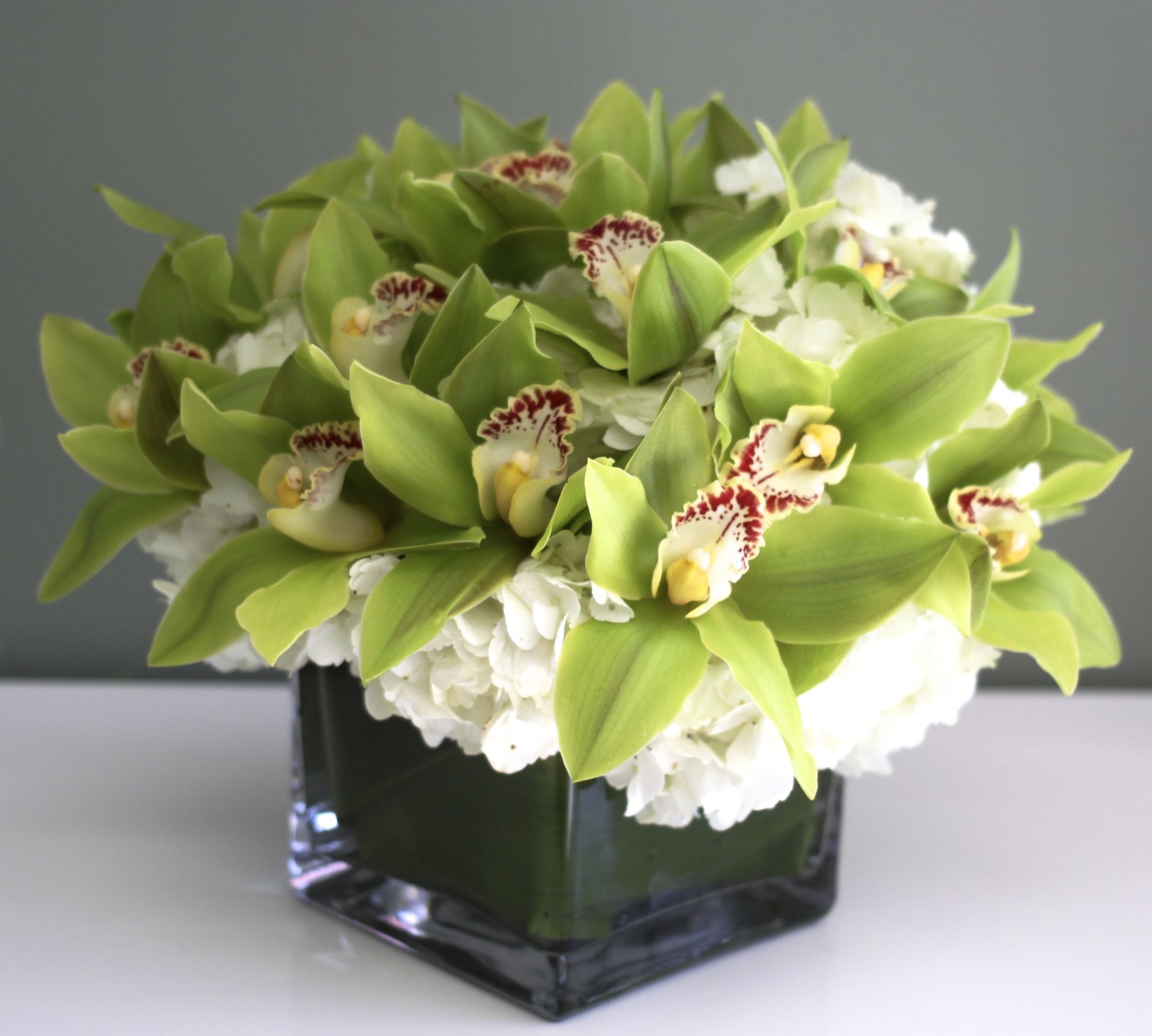 Green Orchids in a vase