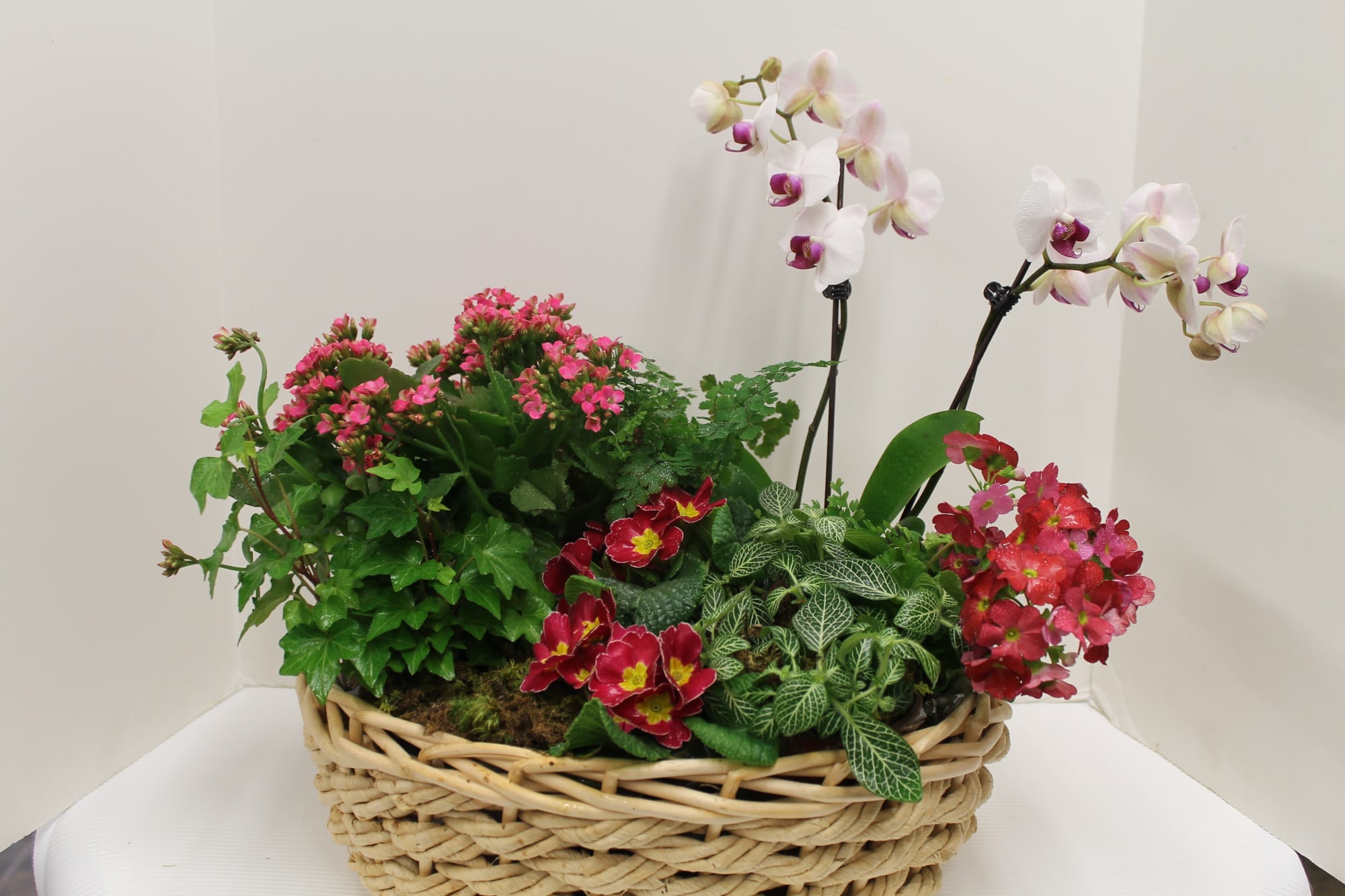 Plant Basket