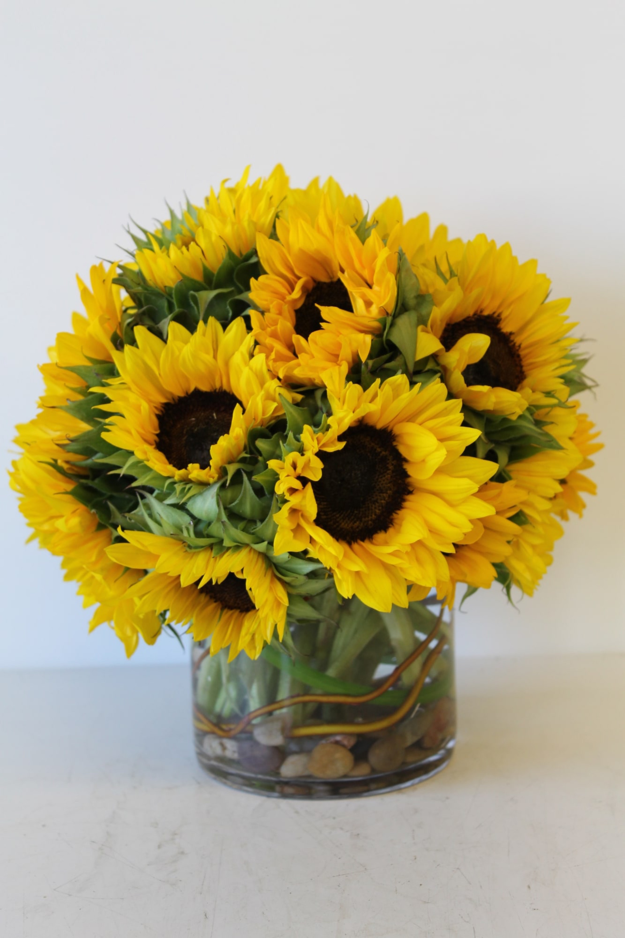 Shine Like Sunflower!