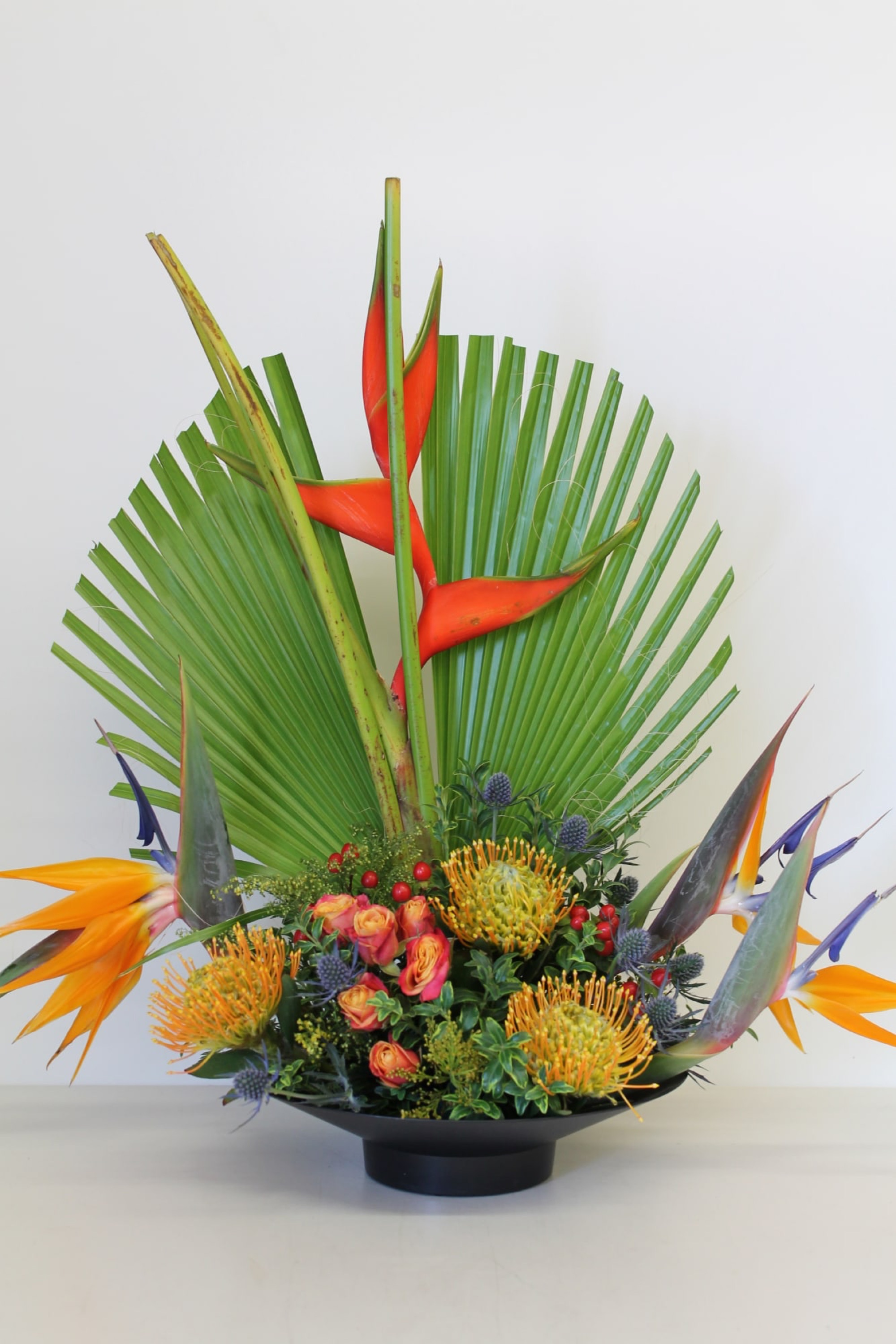 Tropical Bird
