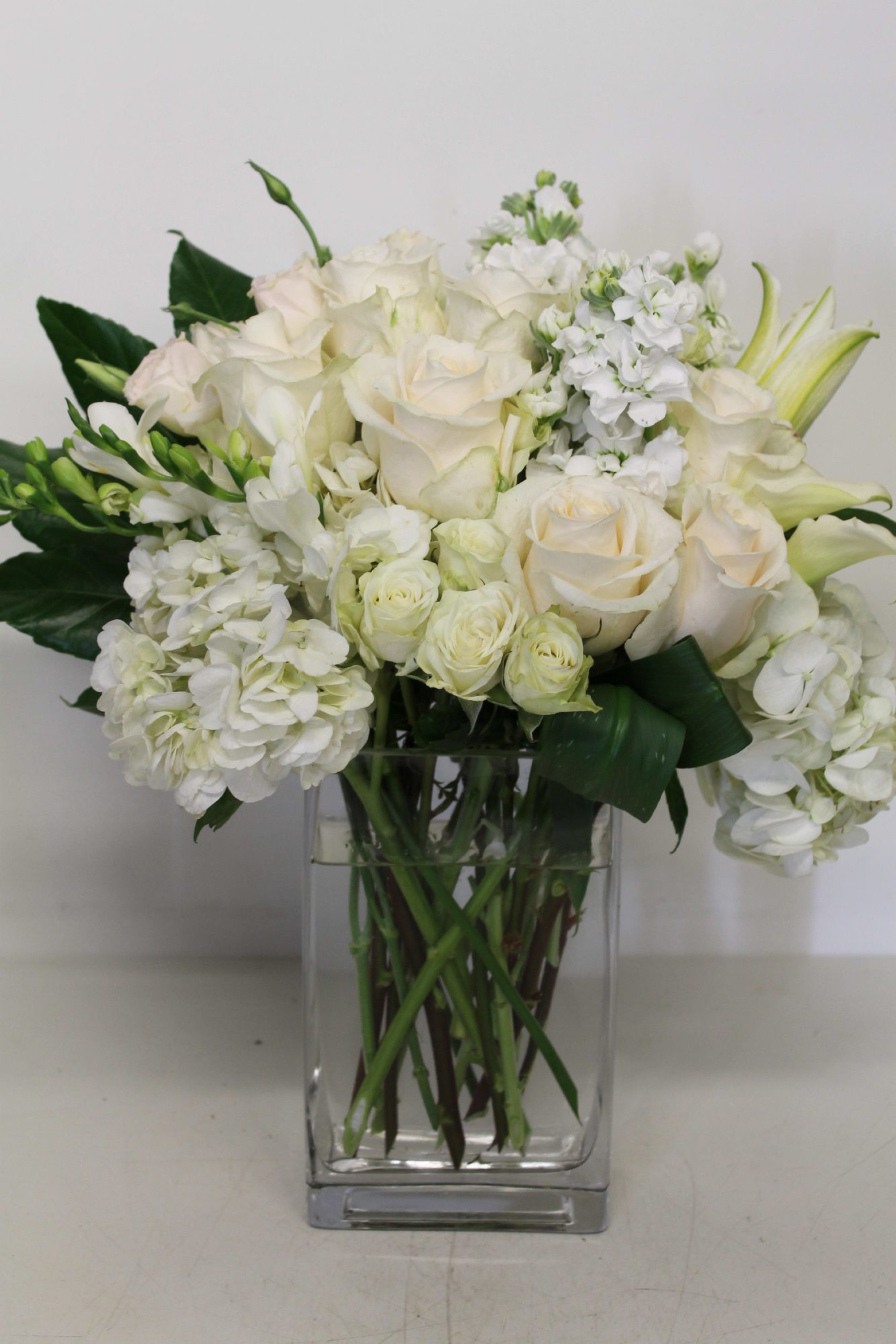 White Dream